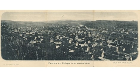 Ansicht der Weststadt von der Neckarhalde aus. Fotografie um 1900