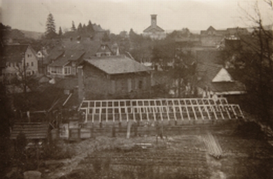 Blick auf die Martinskirche von der Gärtnerei Weber-Schlienz, Sammlung Eva Ruof