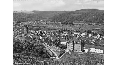 Blick von der Neckarhalde aus den Weinbergen auf Mettingen, Weil und Brühl, um 1950